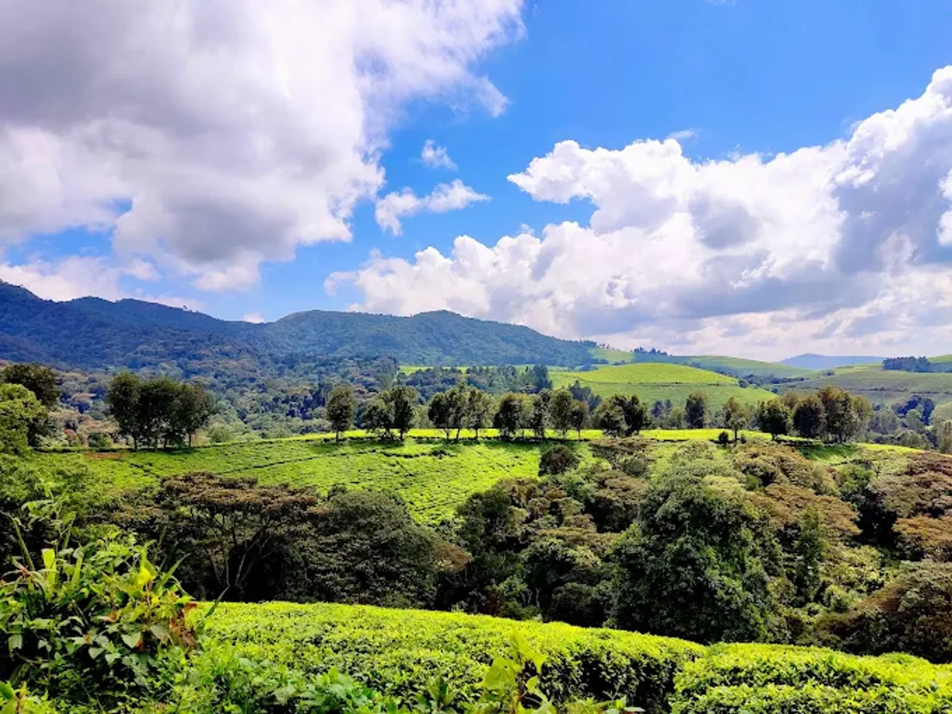 Top Attractions in Burundi