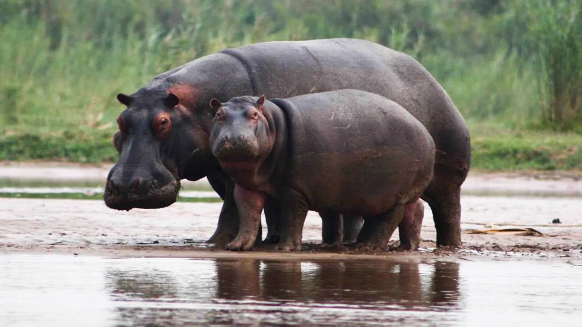 3-Day Bujumbura City & Rusizi Wetlands