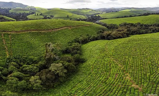 Best cities to visit in Burundi