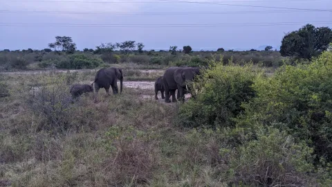 Sunrise at Queen Elizabeth National Park