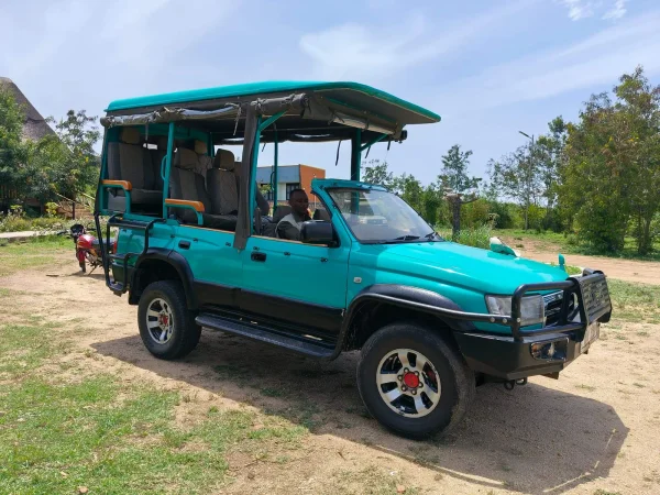 queen elizabeth park big five safari africa 2026