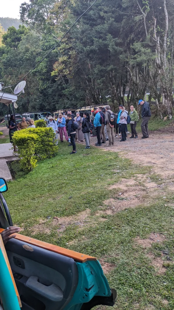 uganda national park morning game drive safari 2026