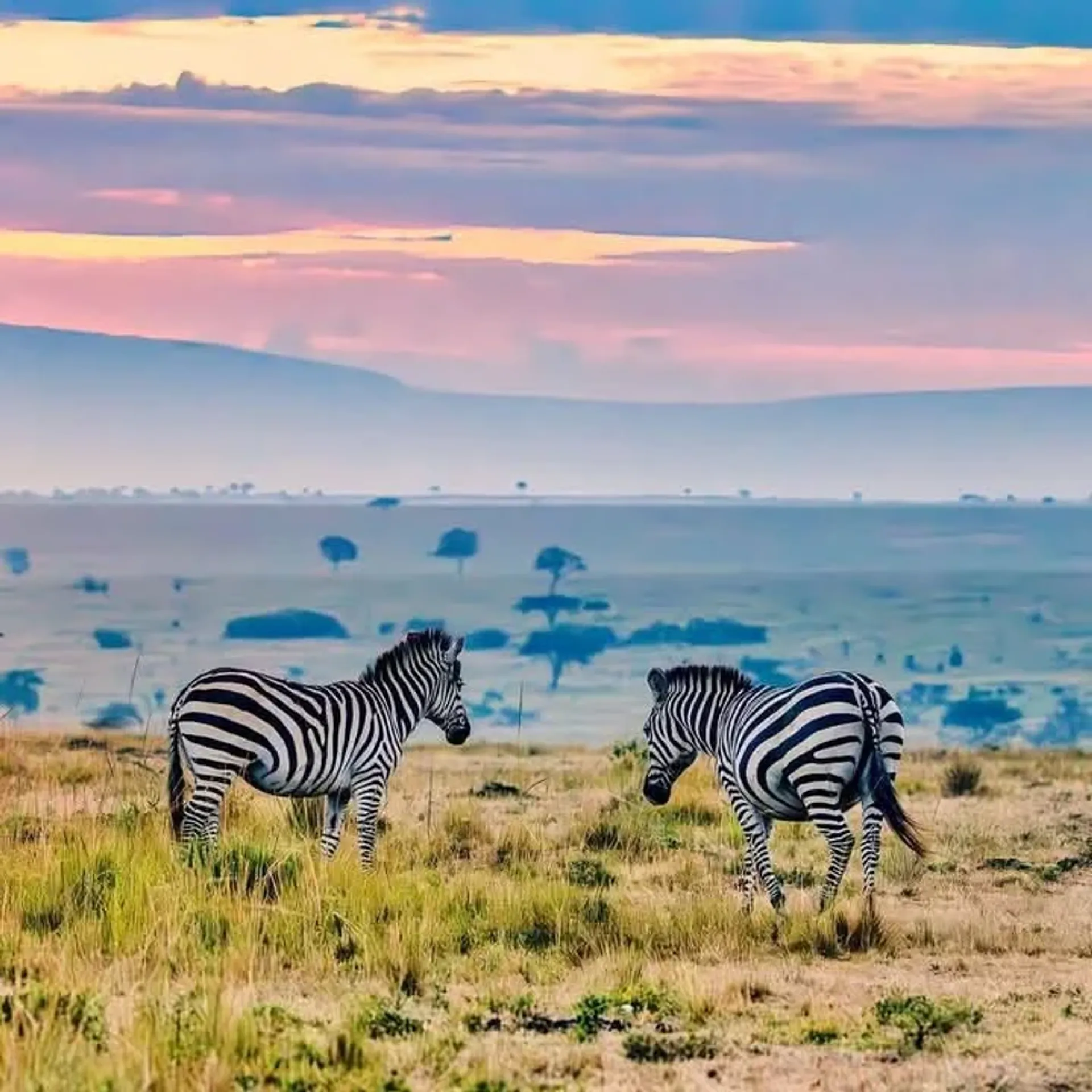 How to Plan a 7-Day East Africa Safari: Budget & Tips