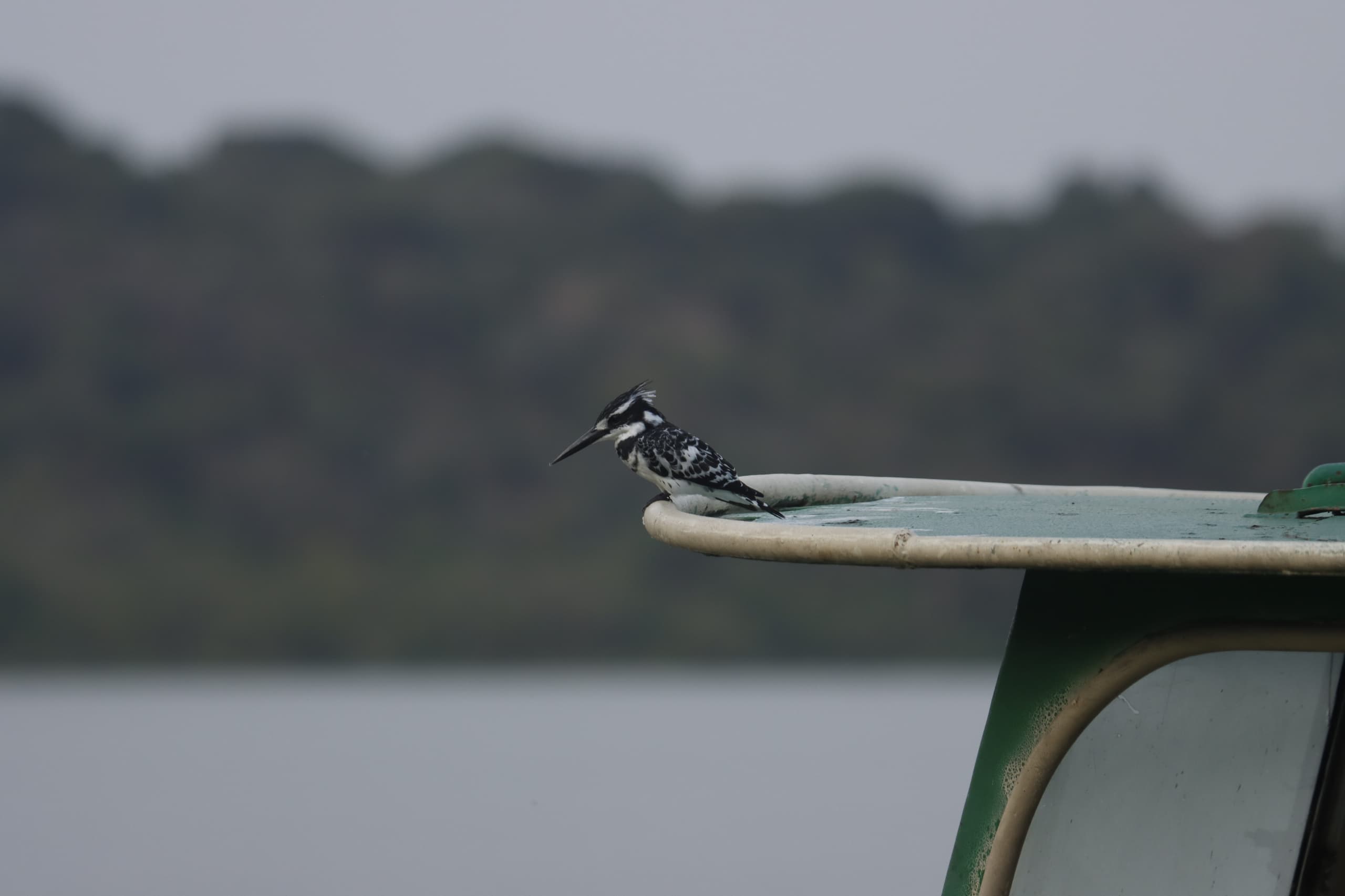 TANZANIA